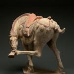 Buckle Detail Ankle Booties