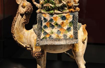 The World Caters to Average People